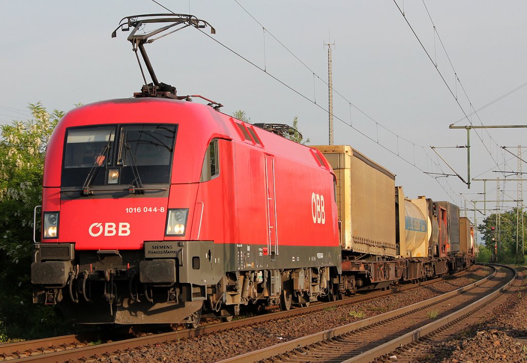 1016 044-8 der �BB mit dem Wenzel in Porz Wahn am 05.05.2011