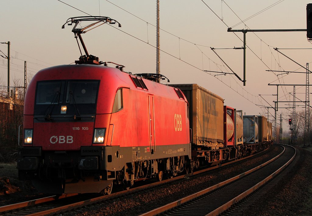 1116 105 der �BB am Wenzel in Porz Wahn am 31.01.2012