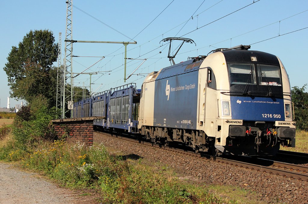 1216 950 der Wiener Lokalbahnen mit Autoleerzug in Porz Wahn am 01.10.2011