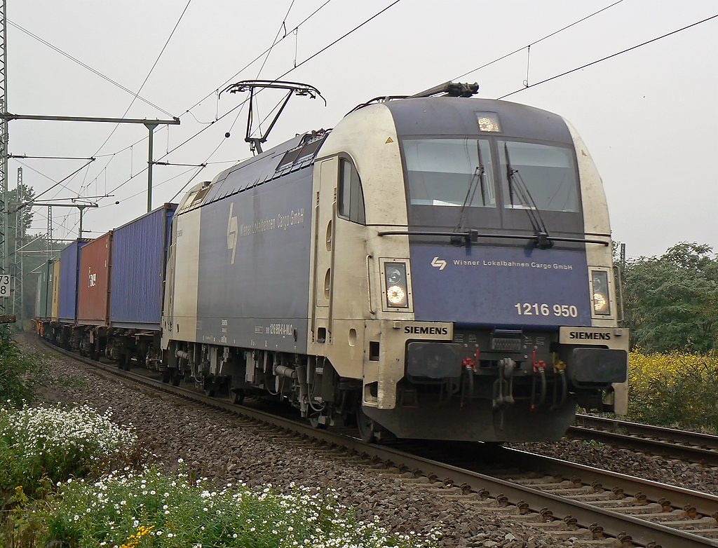 1216 950 der Wiener Lokalbahnen in Porz-Wahn am 14.10.2010