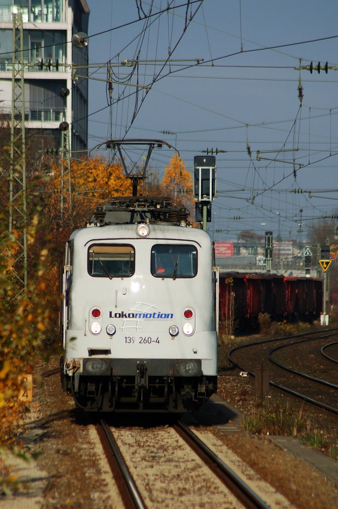 139er Zebra auf dem Weg nach S�den, gelegenheit sie am Heimeranplatz festzuhalten.
Aufgenommen am 03.11.2010