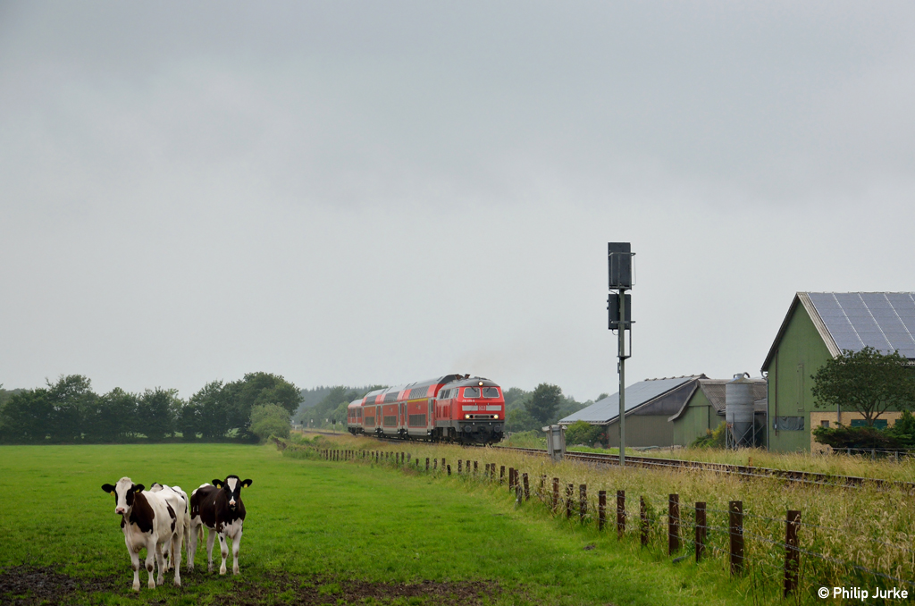 218 496-8 mit der RB von Husum nach Kiel am 30.06.2013 bei J�bek.
