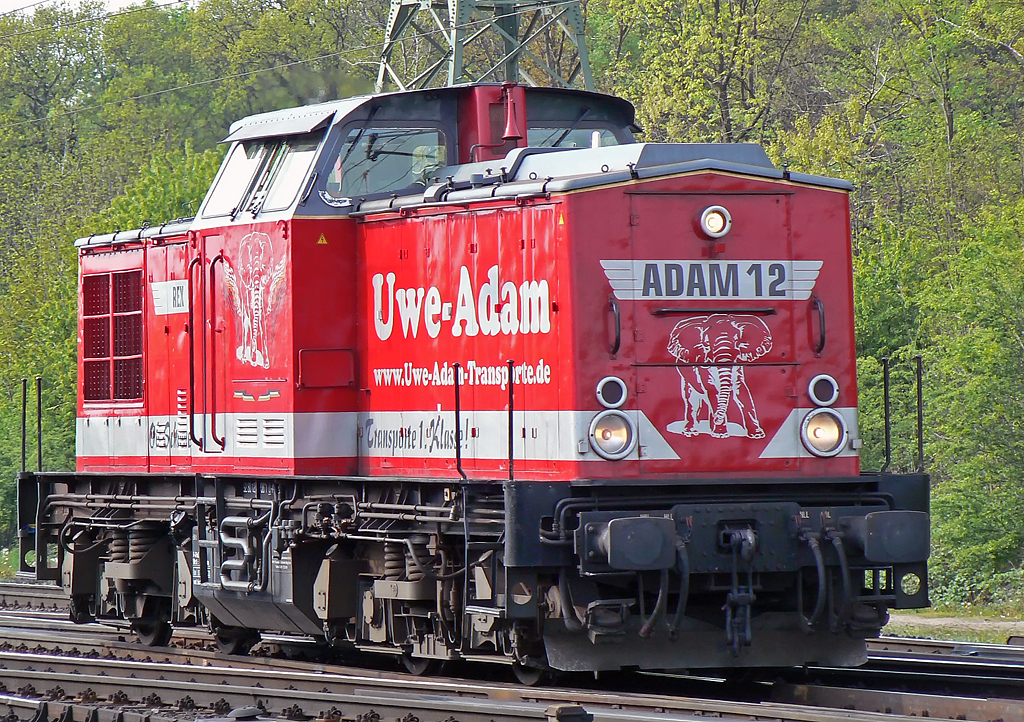 ADAM 12  Rex  in Gremberg am 27.04.2010