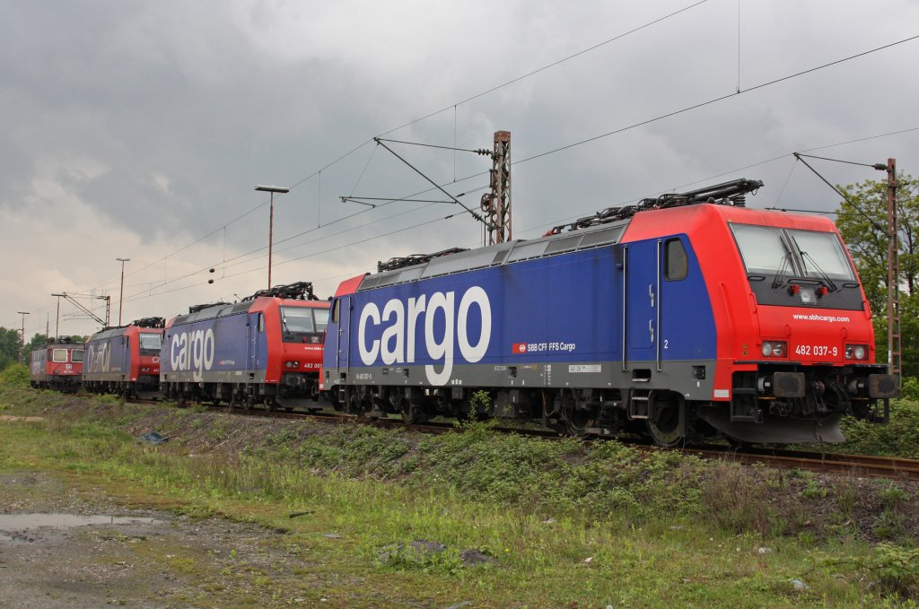 Am 14.5.10 waren gleich f�nf SBB Cargos in Duisburg Ruhrort Hafen anzutreffen,allerdings waren nur 482 037,482 005,482 028  ChemOil  und 421 383 fotografierbar