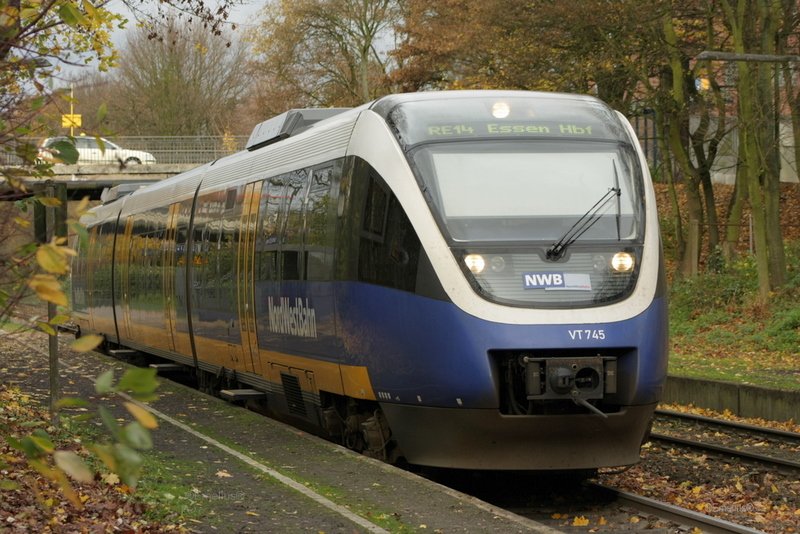 Auch wenn meine Bewerbung scheiterte hatte der Besuch in gladbeck auch einen positiven Effekt. Ich kam nach Gladbeck Zweckl und machte dieses sch�ne Herbstbild.

Patrick E.