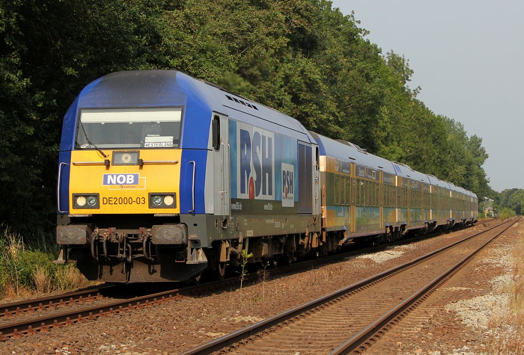 DE2000 03  RSH  bei Burg-Dithmarschen am 03.08.2011