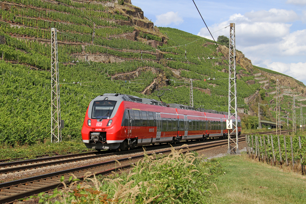 Der 442 708 in Winningen (Mosel) am 27,08,12