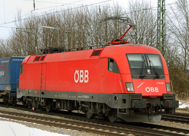 Der Ox mit dem Namen  Hanspeter . 1116 181-9, aufgenommen am 19.02.13, in A�ling.