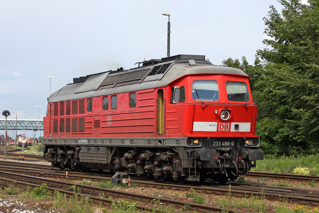 Die 233 486-0 in M�hldorf am 02,08,10