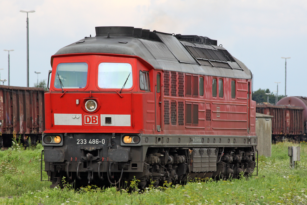 Die 233 486-0 in M�hldorf am 03,08,10