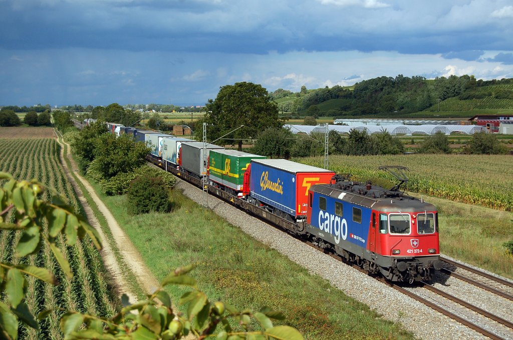 Die 421 372 der SBB bei der Durchfahrt in H�gelheim.
Aufgenommen am 09.09.2010