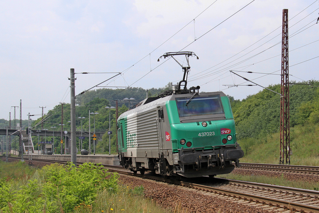 Die 437023 in Frankfurt (Oder) Rosengarten am 28,07,12