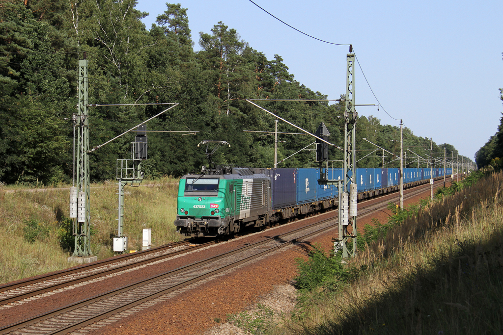 Die 437023 mit der Blauen Wand in Fangschleuse am 19,08,12