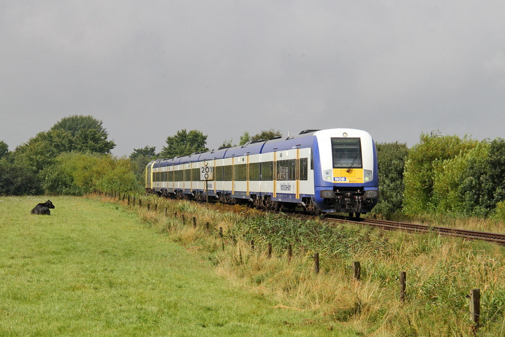 Die NOB mit der ER20-001 (223 001-9) bei Nieb�ll am 16,08,12