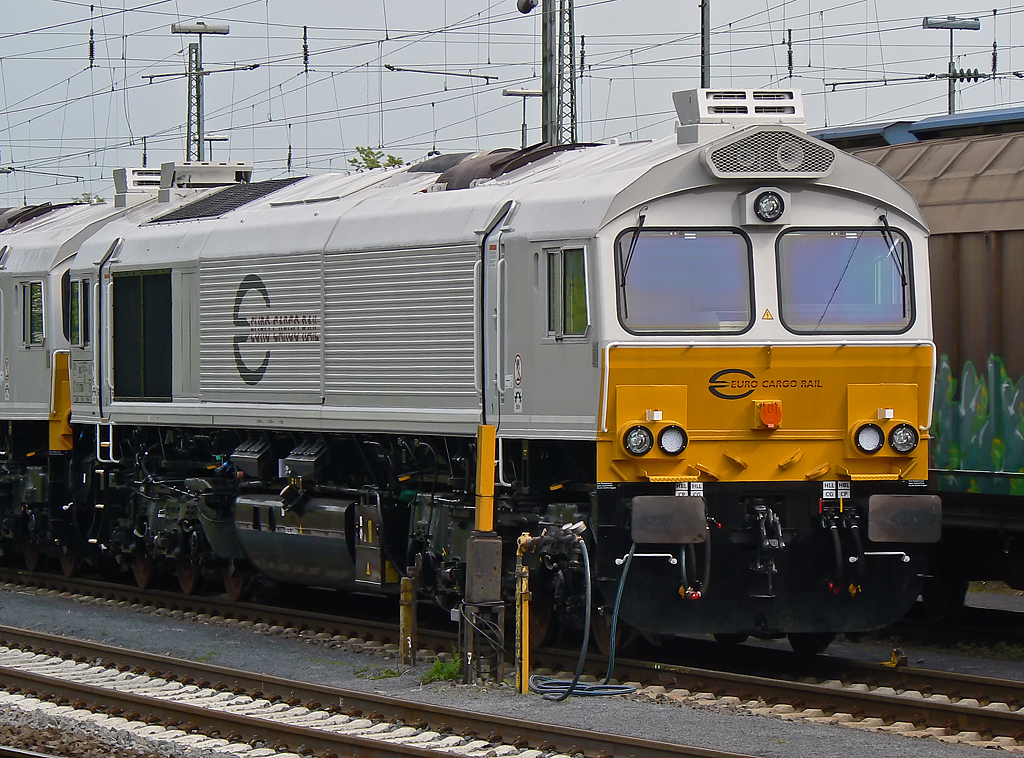 Eine vom zwei werksneuen Euro Cargo Rail Class 77 bilden den Kopf eines in der Ausfahrgruppe Nord bereitgestellten G�terzuges , Gremberg 15.05.2010.