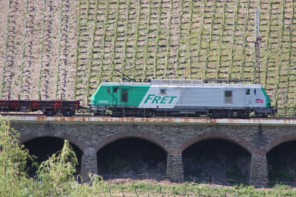 FRET 437010 am 23.5.10 in P�nderich