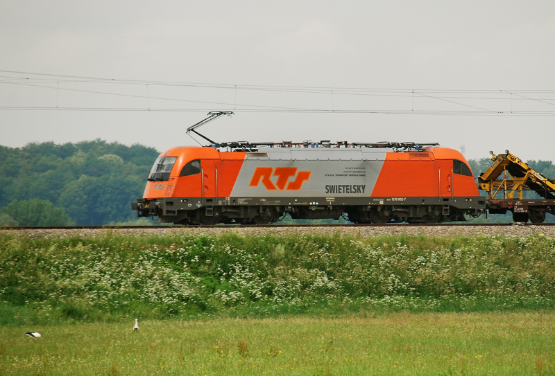 Gelassen nahmen die St�rche die Vorbeifahrt der 1216 902-7, Swietelsky, RTS, hin. Aufgenommen am 06.06.11, kurz nach Burgau.
