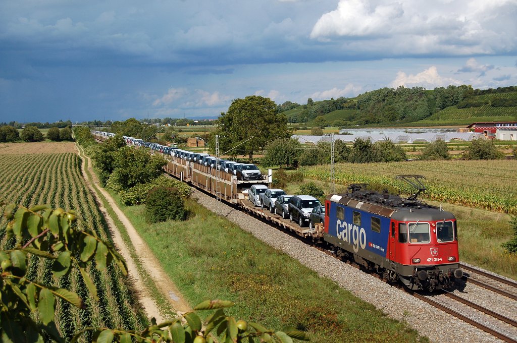 Gern gesehen die Baurehe 421 der SBB.
Hier die 421 391 mit dem Autozug Richtung Basel.
Aufgenommen am 09.09.2010
