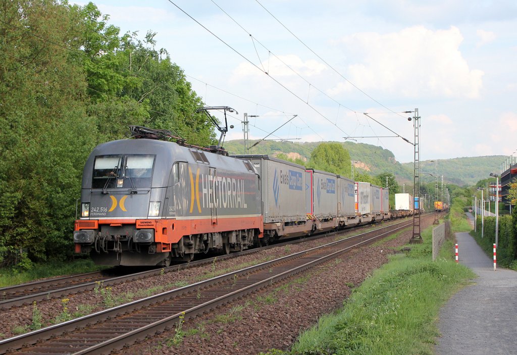 Hectorails 242.516  Ferdinand  in Bonn Limperich am 06.05.2013