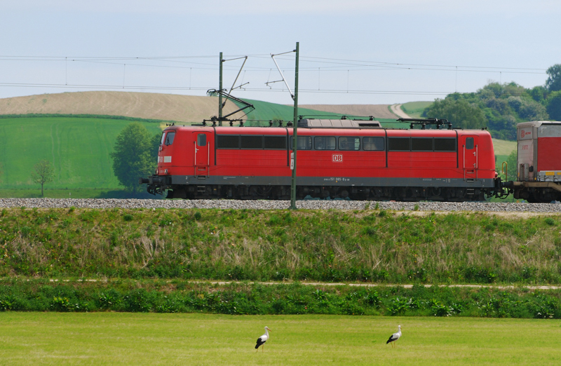 Keine Angst vor gro�en, lauten G�terz�gen zeigten die beiden Weissst�rche aus dem Mindeltal. 151 085-8, aufgenommen am 10.05.11, kurz vor Burgau.