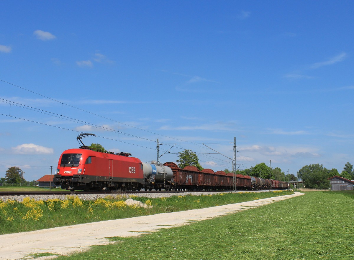 1016 045-7 am 14. Mai 2013 mit einem G�terzug aus Salzburg bei �bersee am Chiemsee.