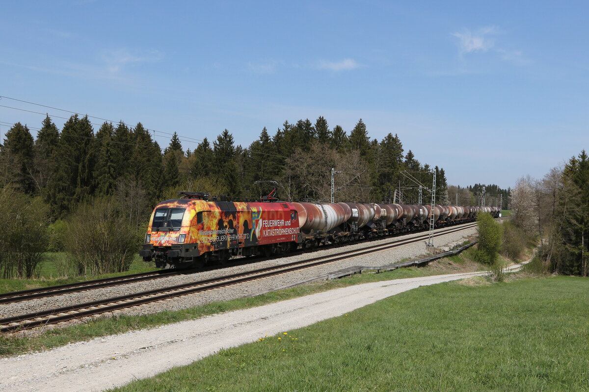 1016 048 mit einem Kesselwagenzug aus Salzburg kommend am 28. April 2021 bei Grabenst�tt im Chiemgau.