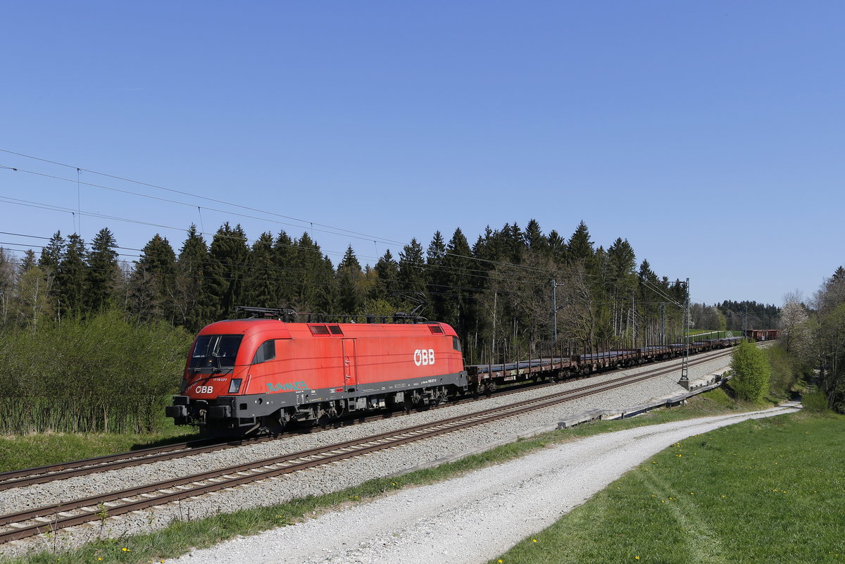 1116 077  Christof  mit einem Stahlzug aus Freilassing kommend am 19. April 2019 bei Grabenst�tt.