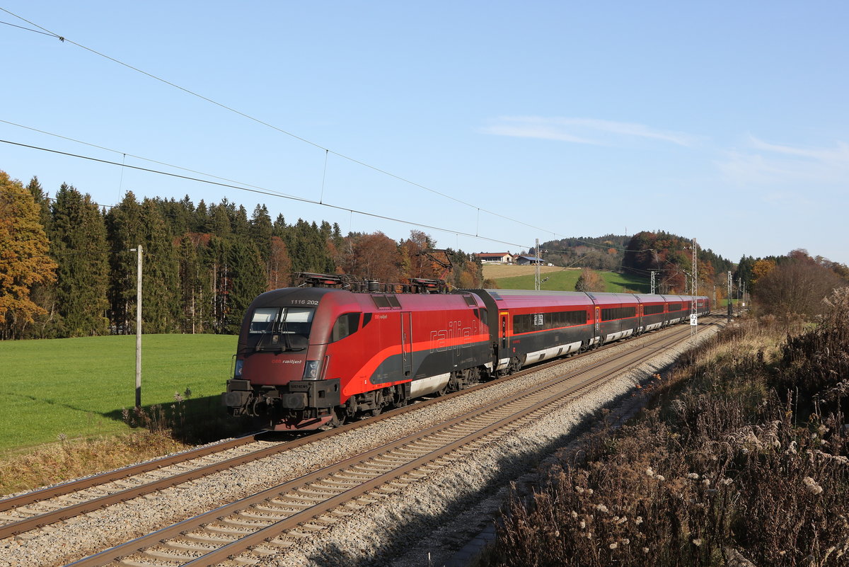 1116 202 aus Salzburg kommend am 9. November 2020 bei Grabenst�tt.
