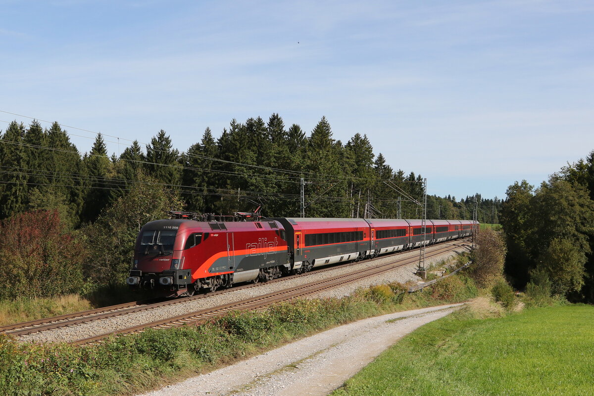 1116 205 aus Salzburg kommend am 1. Oktober 2021 bei Grabenst�tt.