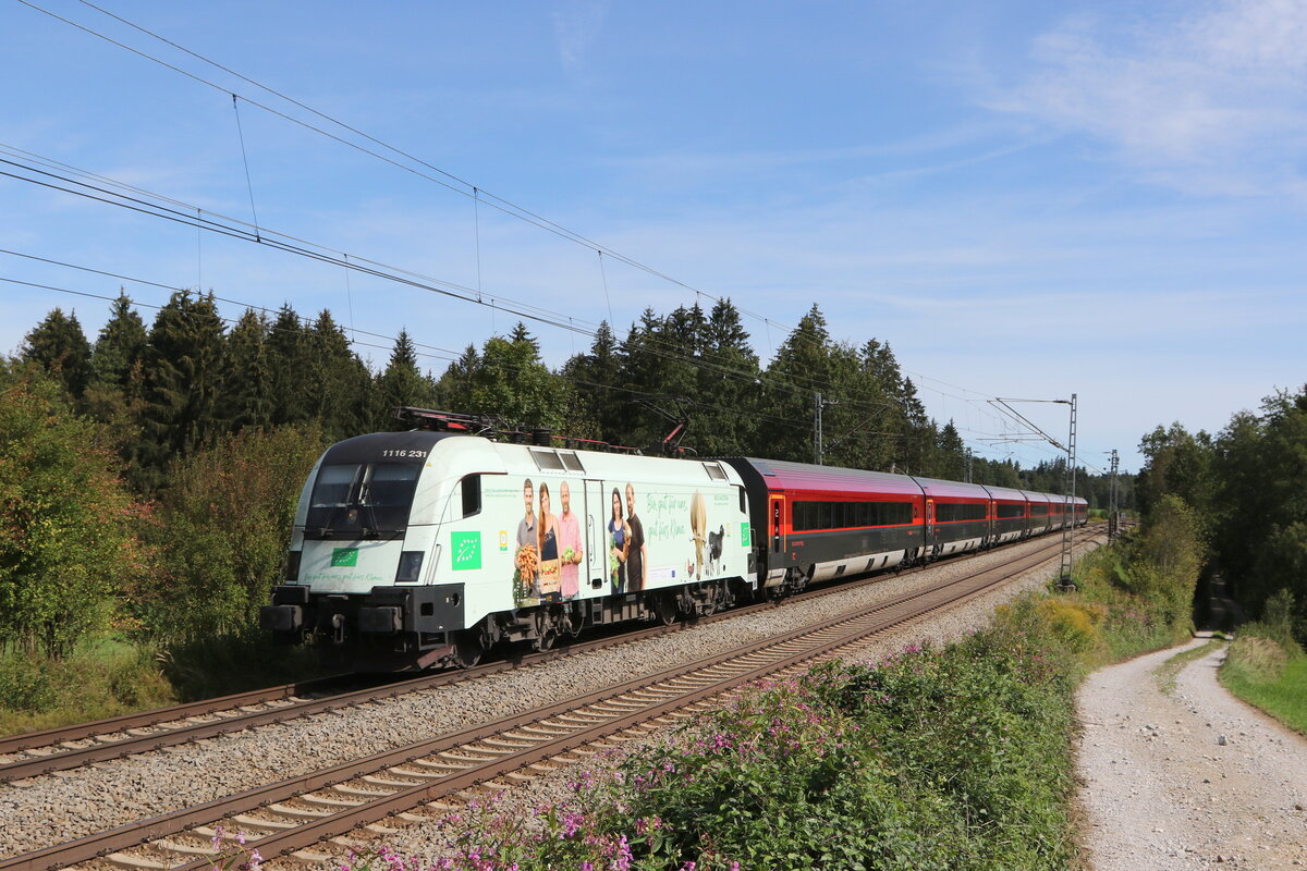 1116 231  BIO Austria  aus Salzburg kommend am 13. September 2022 bei Grabenst�tt im Chiemgau.