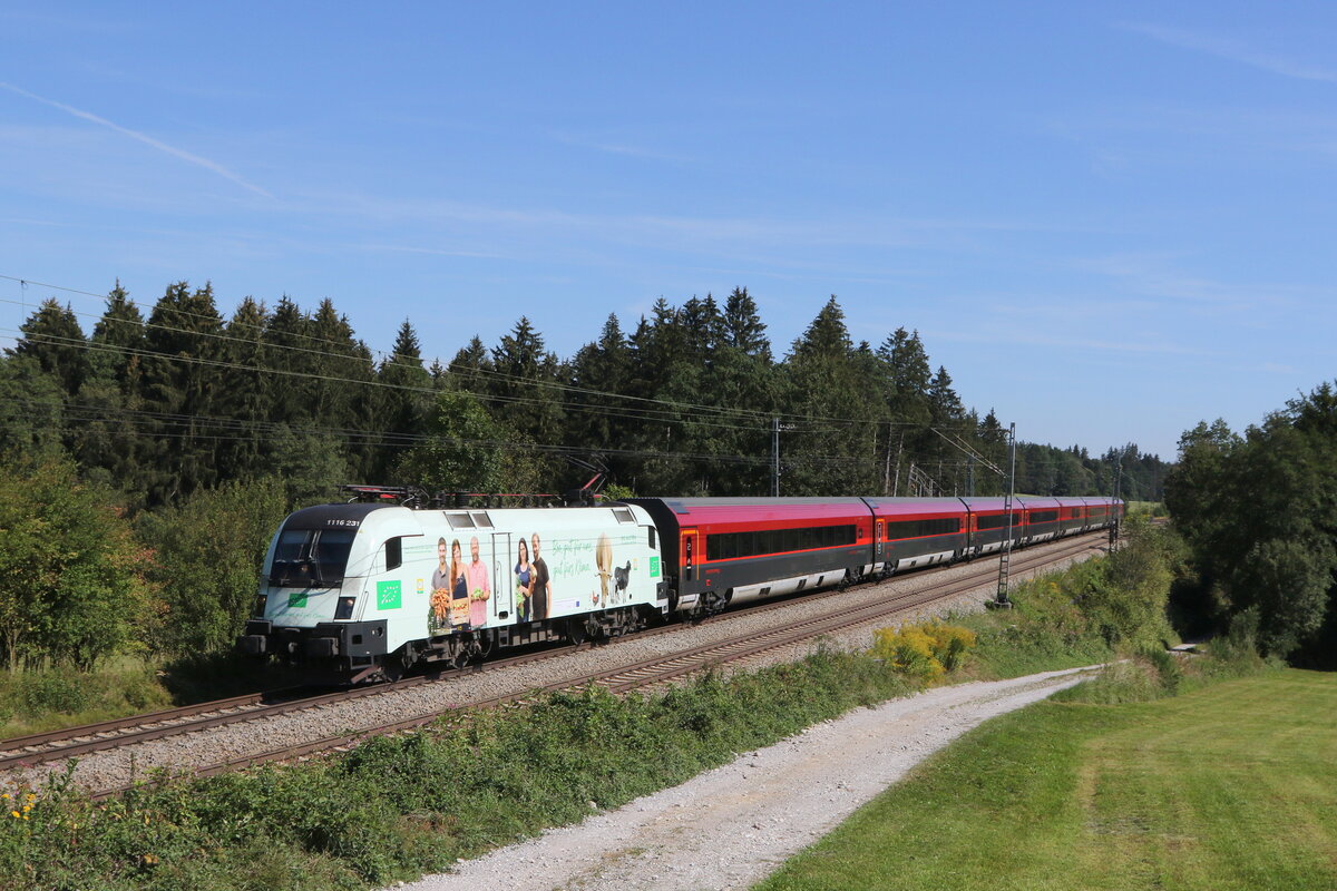 1116 231 mit einem  Railjet  auf dem Weg nach M�nchen am 2. September 2022 bei Grabenst�tt.