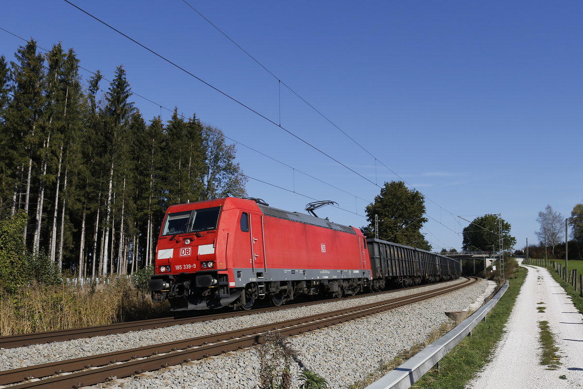 185 339 mit dem  Aicher-Zug  aus Freilassing kommend am 22. Oktober 2018 bei Grabenst�tt.