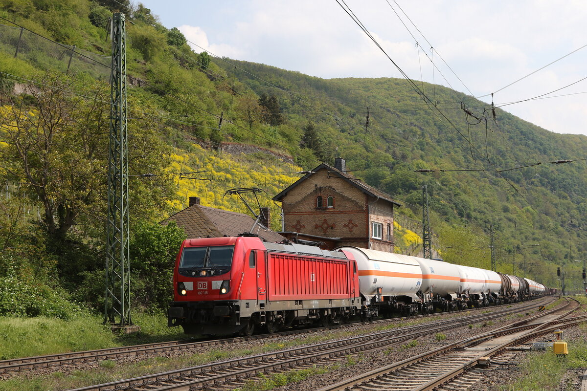 187 116 mit einem gemischten G�terzug aus Bingen kommend am 3. Mai 2022 kurz vor Kaub.