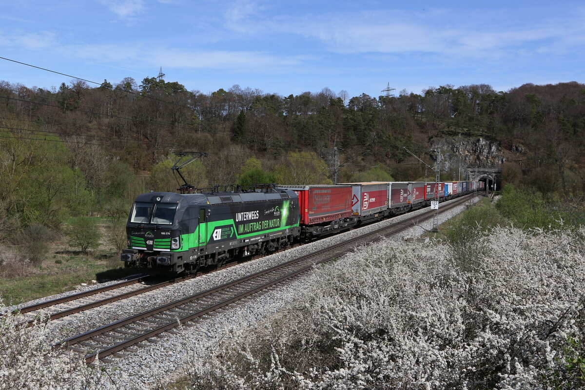 193 275 mit einem  KLV  am 5. April 2024 kurz nach dem  Esslinger Tunnel  bei Solnhofen im Altm�hltal.