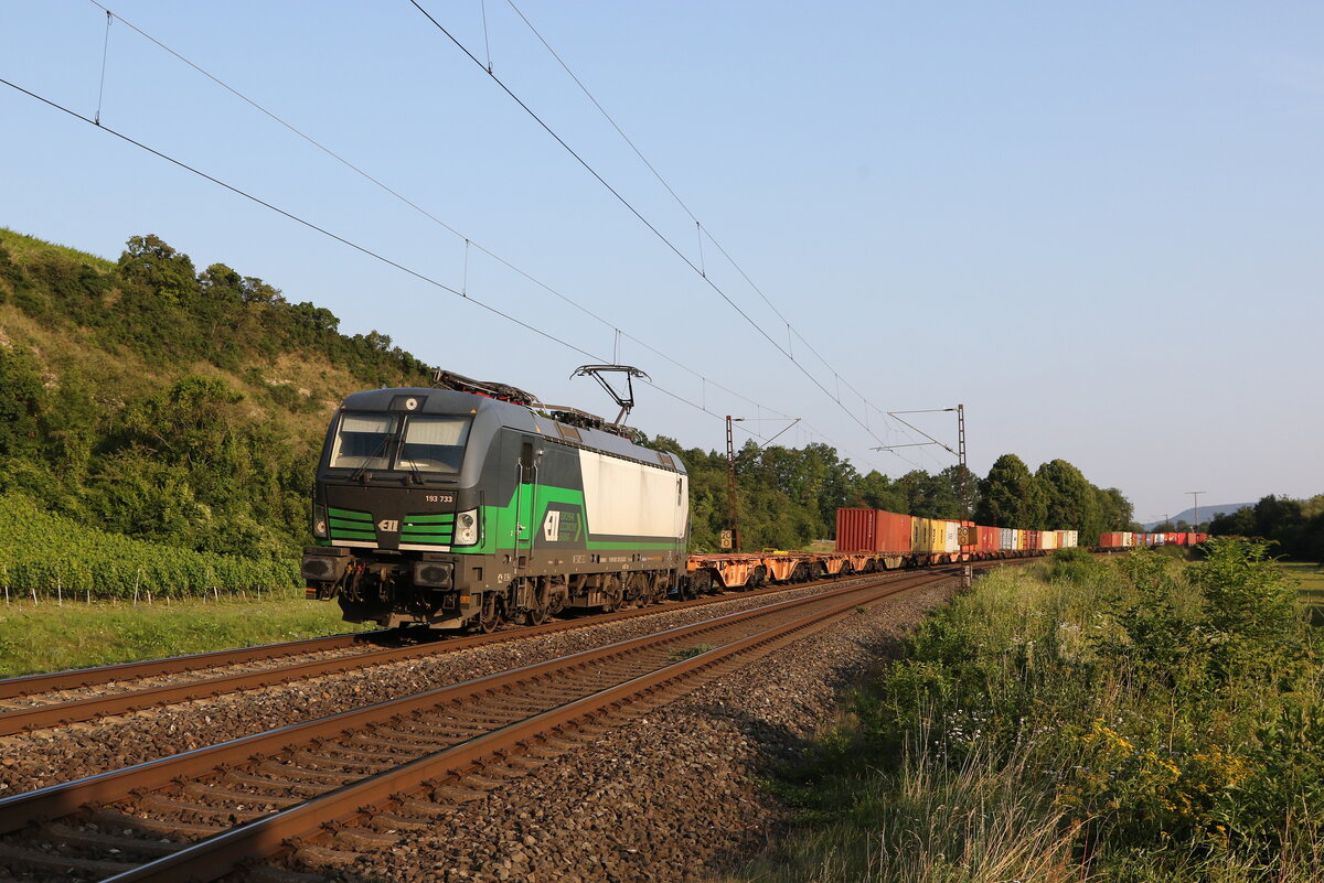 193 733 mit einem Containerzug aus W�rzburg kommend am 23. Juli 2021 bei Himmelstadt am Main.
