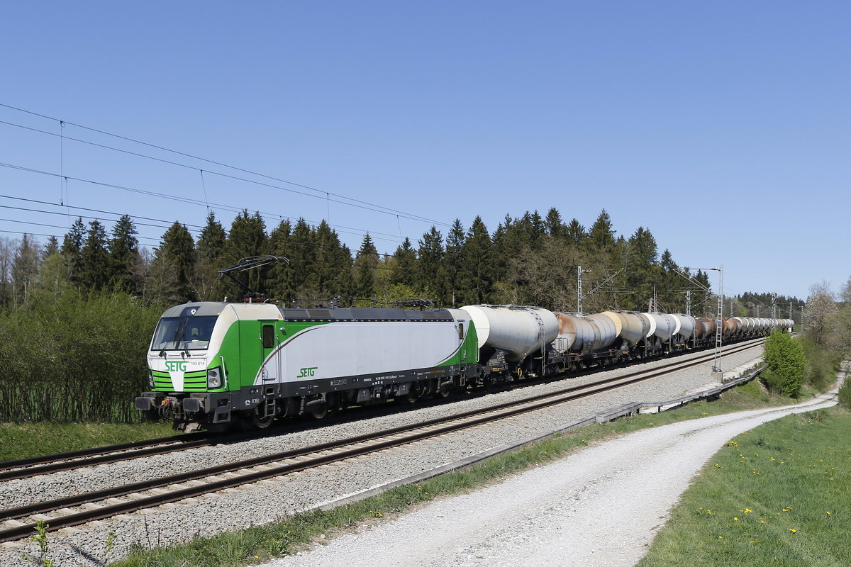 193 814 mit einem Kreideschlammzug aus Salzburg kommend am 21. April 2019 bei Grabenst�tt.