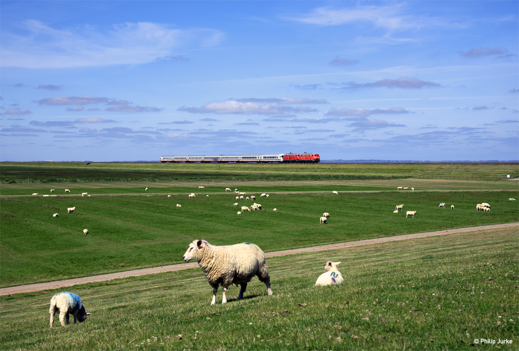 218 833-2 und 218 330-9 mit dem IC 2375 (Westerland(Sylt) - Karlsruhe Hbf) am 05.07.2017 bei Friedrich-Wilhelm-Lübke-Koog.
