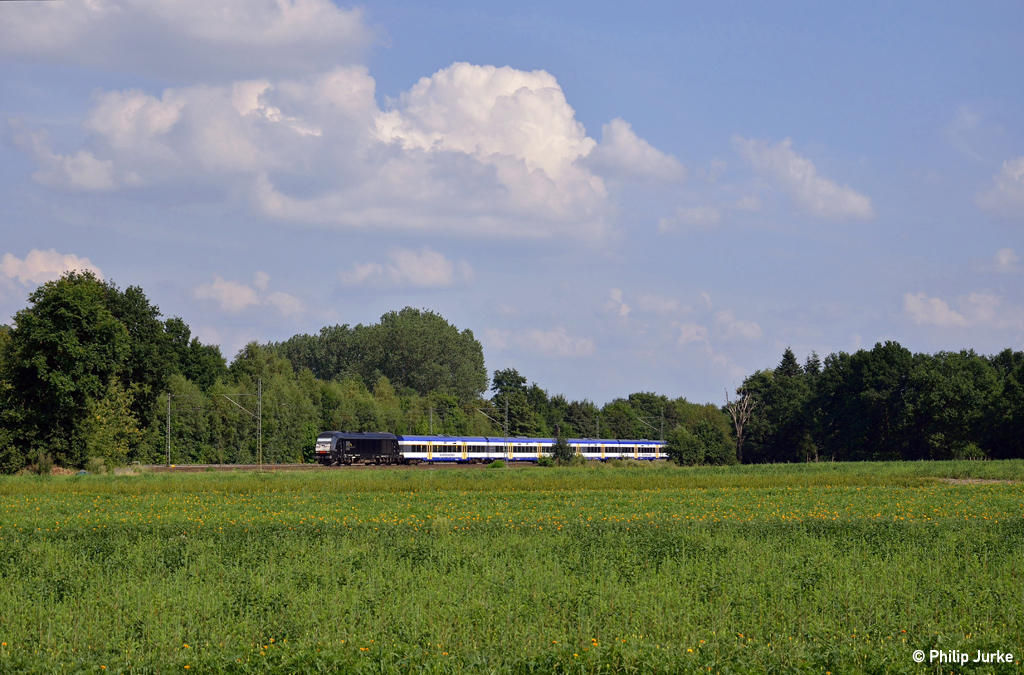 223 013-4 mit der NOB 81722 (HH-Altona - Westerland) am 28.07.2014 bei Halstenbek.

