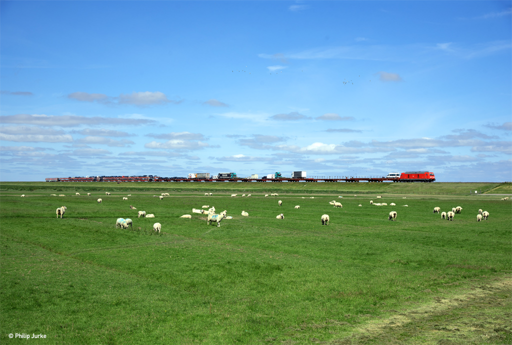 245 024-5 und 628 512-5  Kampen  mit dem AS-K 1423 (Westerland(Sylt) - Niebüll und Bredstedt) am 05.07.2017 bei Friedrich-Wilhelm-Lübke-Koog.
