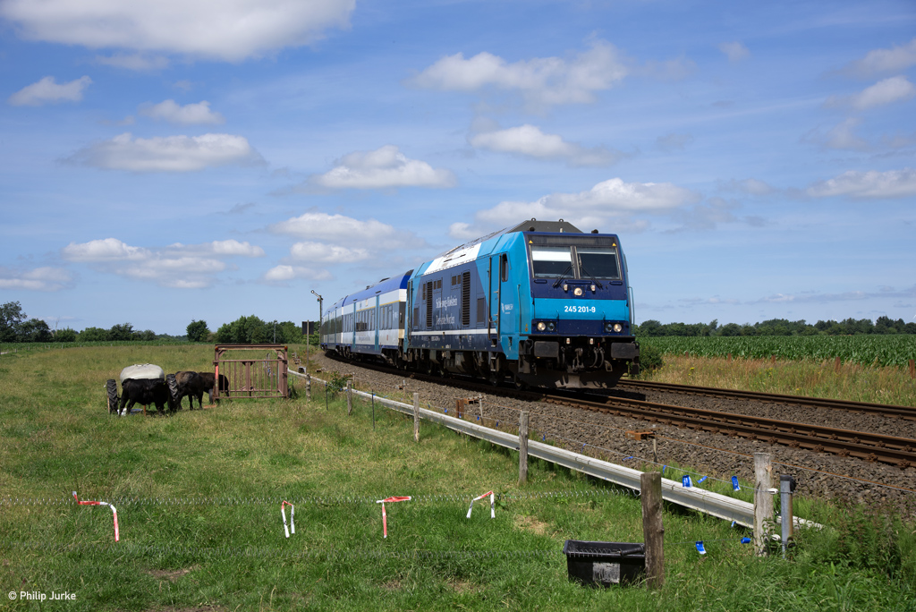 245 201-9 mit dem RE 11023 (Westerland(Sylt) - Hamburg-Altona) am 06.07.2017 bei Risum-Lindholm.
