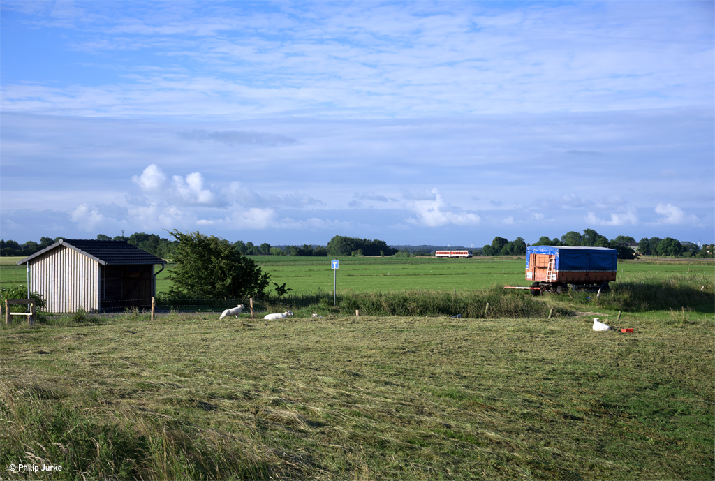 628 512-5  Kampen  als RE-G 1412 (Bredstedt - Westerland(Sylt) am 05.07.2017 in der Soholmer Au.
