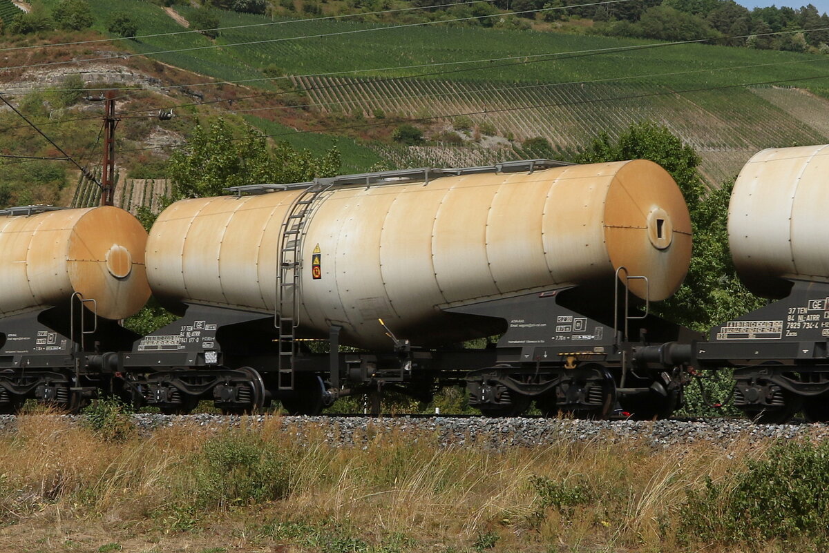 7841 177 (Zacns) von  ATIR-Tail  am 5. August 2022 bei Th�ngersheim.