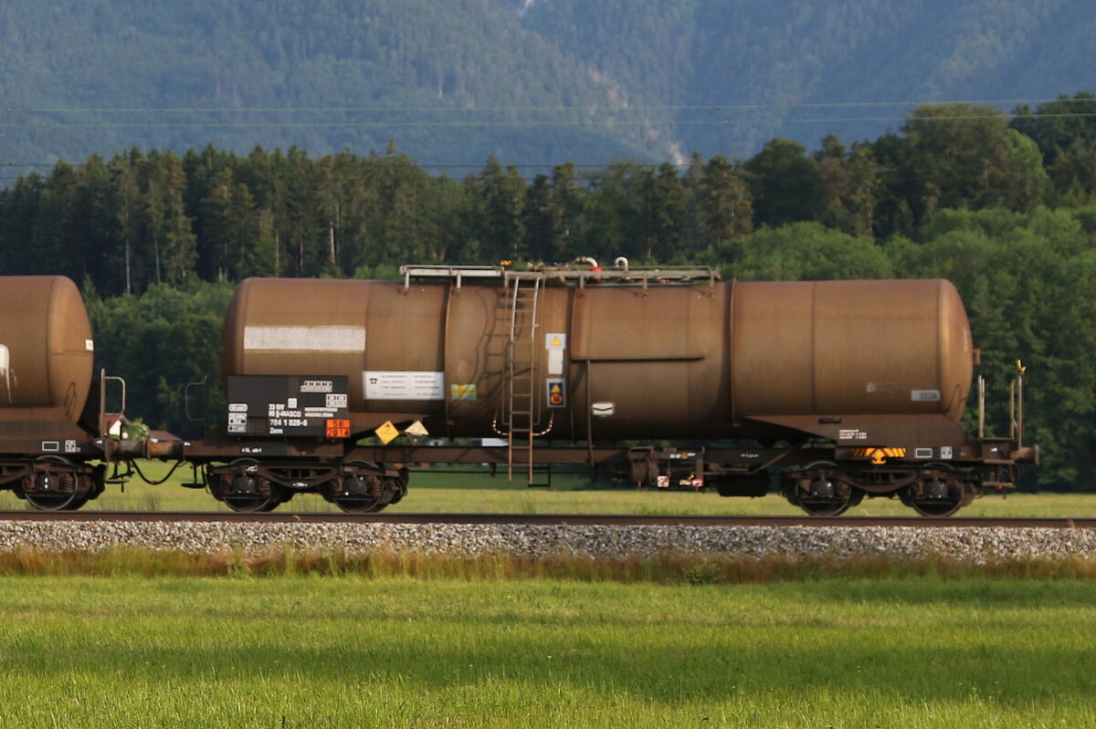 7841 829 (Zacns) von  WASCOSA  am 10. Juni 2021 bei �bersee.