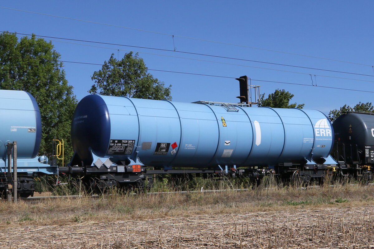 7929 309 (Zacns) von  ERR  am 6. August 2022 bei Th�ngersheim im Maintal.