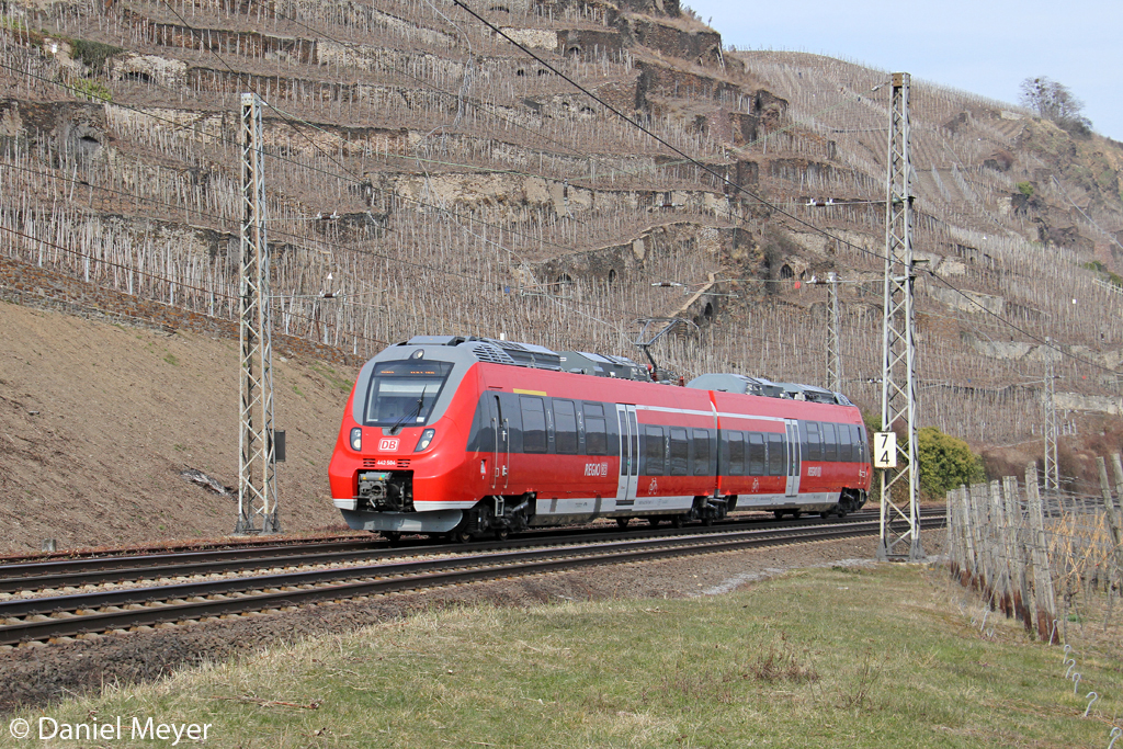 Der 442 504 in Winningen (Mosel) am 01,04,13