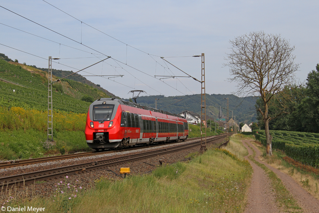 Der 442 705 in Pommern ( Mosel ) am 22.08.2013