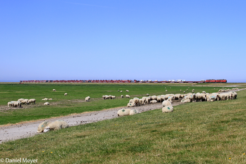 Die 218 314-3 und 218 381-2 mit dem SyltShuttle nach Nieb�ll auf dem Hindenburgdamm bei Klanxb�ll am 21.07.2013