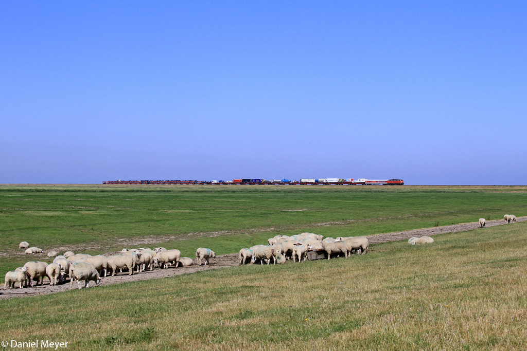 Die 218 345-7 mit dem SyltShuttle auf dem Hindenburgdamm am 23.07.2013 