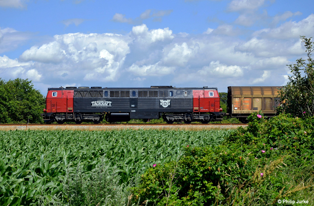 Die MZ 1425 mit dem EZ 47411 (Fredericia - Maschen Rbf) am 24.07.2015 zwischen Tjæreborg und Bramming.
