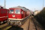 130 101 in morgendlicher Sonne im DB-Museum Koblenz-L�tzel